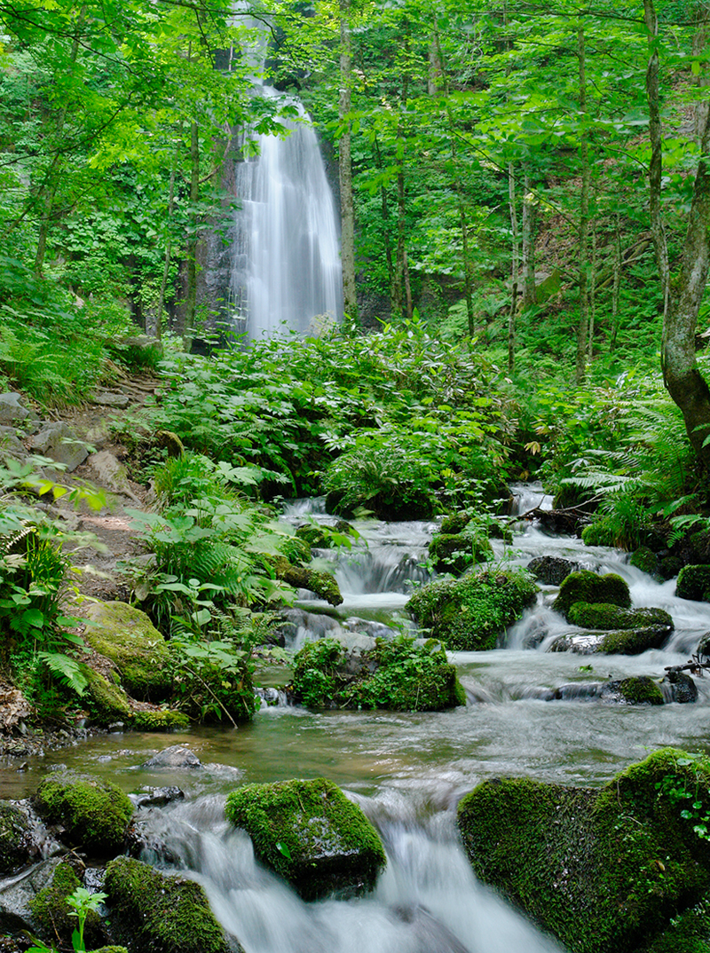 奥入瀬ブルワリーが大切にしていること