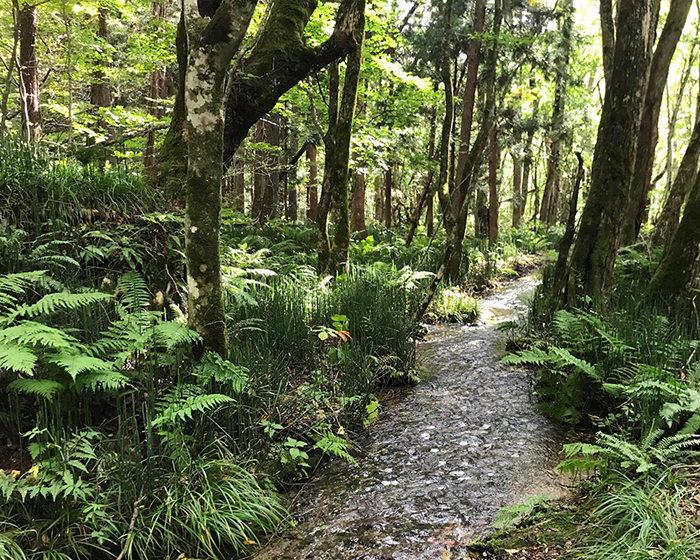 ビール造りの特徴１