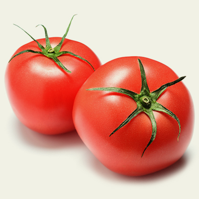 奥入瀬レストランイメージ１